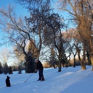 Meet your Posher, Don